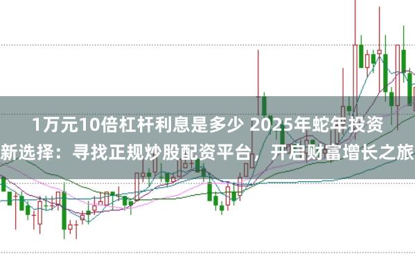 1万元10倍杠杆利息是多少 2025年蛇年投资新选择：寻找正规炒股配资平台，开启财富增长之旅