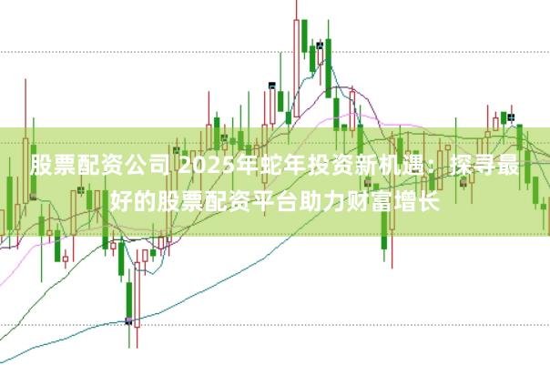 股票配资公司 2025年蛇年投资新机遇：探寻最好的股票配资平台助力财富增长