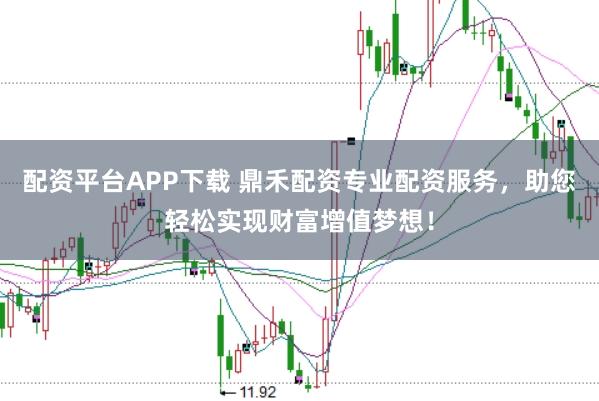 配资平台APP下载 鼎禾配资专业配资服务，助您轻松实现财富增值梦想！