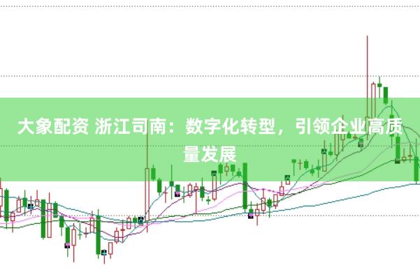 大象配资 浙江司南：数字化转型，引领企业高质量发展