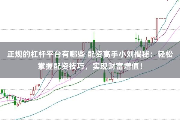 正规的杠杆平台有哪些 配资高手小刘揭秘：轻松掌握配资技巧，实现财富增值！