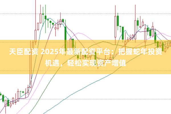 天臣配资 2025年最新配资平台：把握蛇年投资机遇，轻松实现资产增值