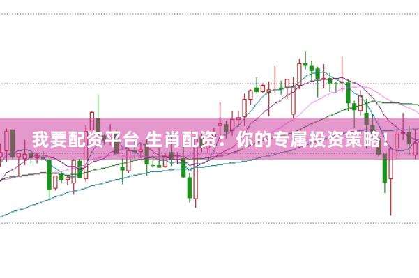我要配资平台 生肖配资：你的专属投资策略！