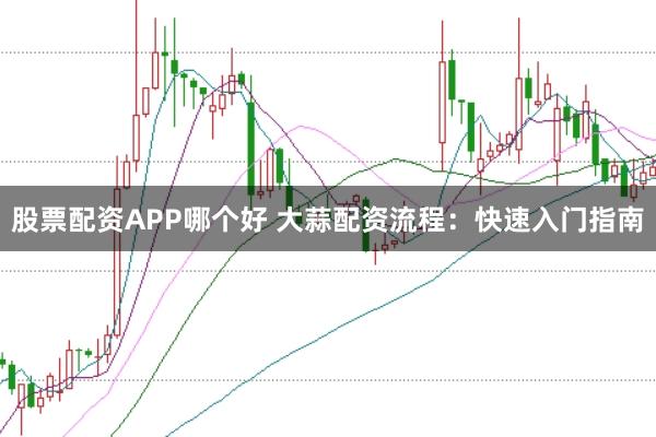 股票配资APP哪个好 大蒜配资流程：快速入门指南