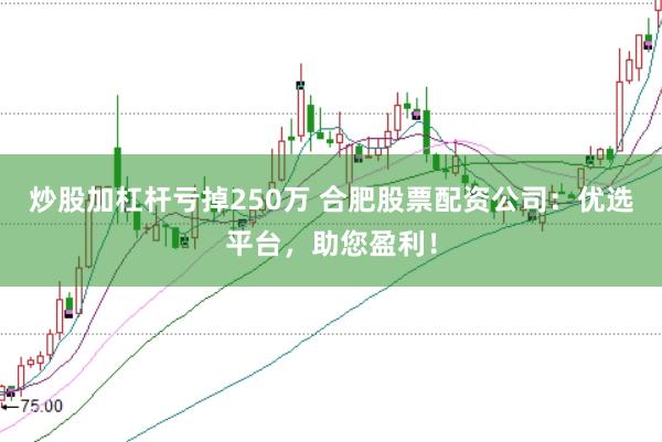 炒股加杠杆亏掉250万 合肥股票配资公司：优选平台，助您盈利！