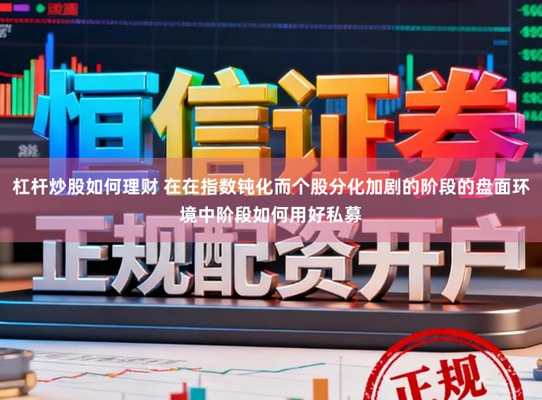 杠杆炒股如何理财 在在指数钝化而个股分化加剧的阶段的盘面环境中阶段如何用好私募